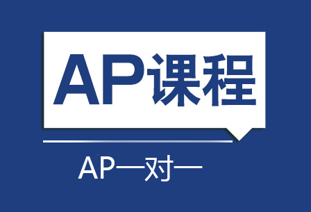 AP一对一