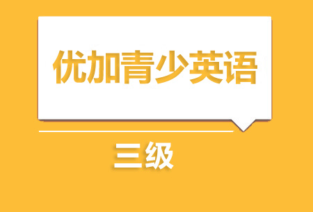 上海新航道优加青少英语3级