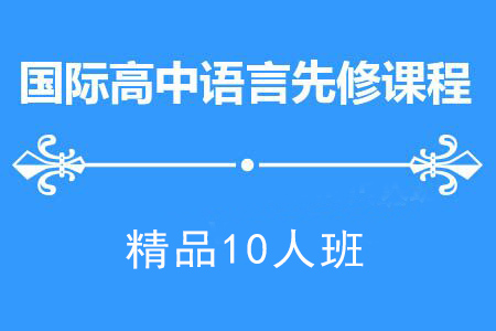 南京国际高中备考精品10人班