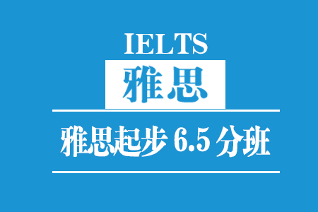 厦门雅思起步6.5分班(30人)