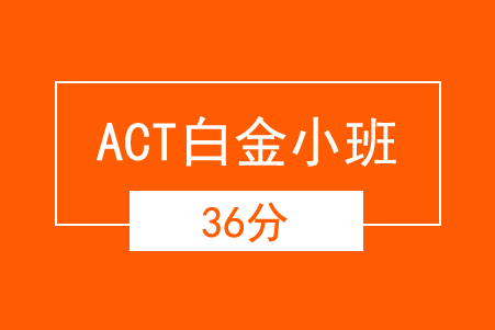 郑州ACT冲36分强化白金小班